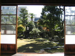 IMG_7984.JPG