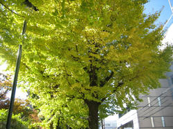 IMG_7999.JPG