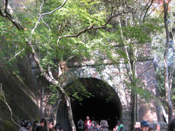 IMG_8008.JPG