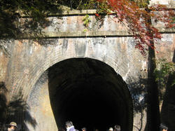IMG_8015.JPG