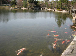 IMG_0696.JPG