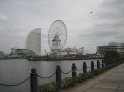 IMG_0796.JPG