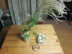 IMG_1137.jpg