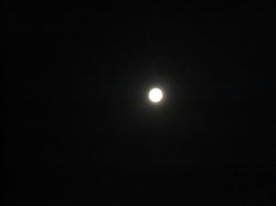 IMG_1140.jpg