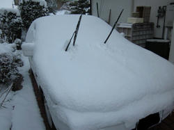 IMG_0519R.jpg