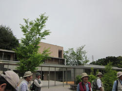 IMG_3301.JPG
