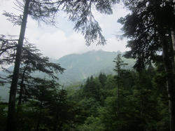 IMG_3500.JPG