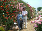 CIMG8721_400x300.jpg
