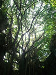 CIMG9469_300x400.jpg