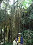 CIMG9472_300x400.jpg
