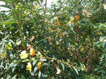 CIMG0072_400x300.jpg