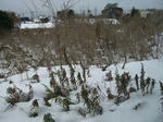 CIMG0398_400x300.jpg