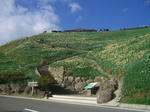 CIMG0432_400x300.jpg