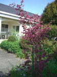 CIMG0604_300x400.jpg