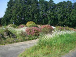 CIMG0607_400x300.jpg