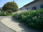 CIMG0608_400x300.jpg