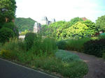 CIMG0914_400x300.jpg