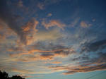 CIMG0956_400x300.jpg
