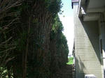 CIMG0983_400x300.jpg