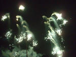 CIMG1004_400x300.jpg