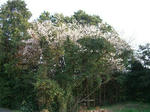 CIMG1501_400x300.jpg