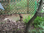 2011070210380000_400x300.jpg