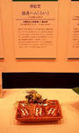2012-0207-101404170_240x400.jpg
