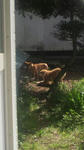 2012041209360001_225x400.jpg