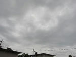 IMG_1557_400x300.jpg