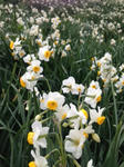 2013.1.16.JPG