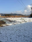 2013.1.18.2.JPG