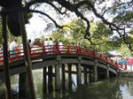 DSC00244_400x300.jpg