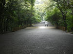 P1000456.jpg