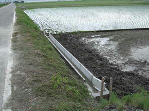 DSCF3536.jpg