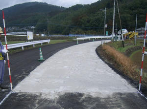 PRI_20100301150305.jpg