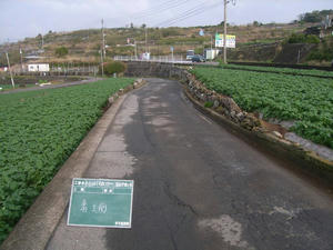 R0019257.jpg