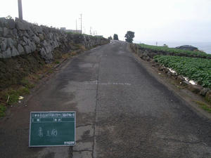 R0019260.jpg
