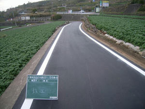 R0019324.jpg
