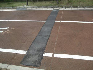 DSCF5665.jpg