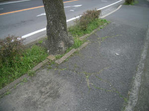 R0028842.jpg