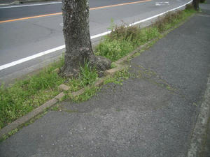 R0028843.jpg