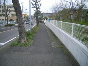 R0028844.jpg