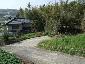 DSCF0371.jpg