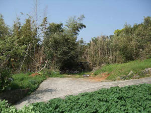 DSCF0372.jpg