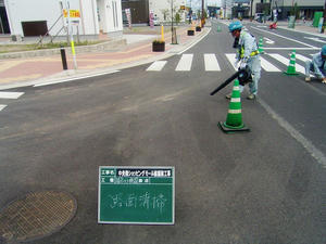 010.jpg