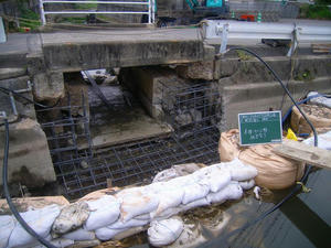 R0024131.jpg