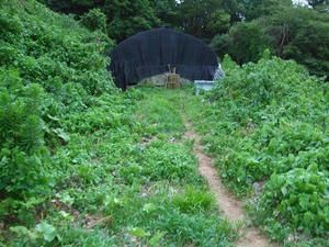 DSCF9505.jpg