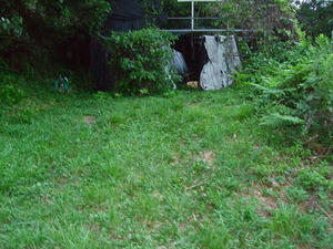 DSCF9509.jpg