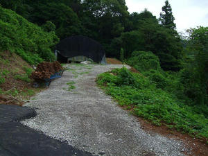 DSCF9727.jpg