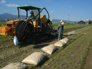 DSCF0924.jpg
